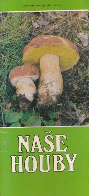 Naše houby